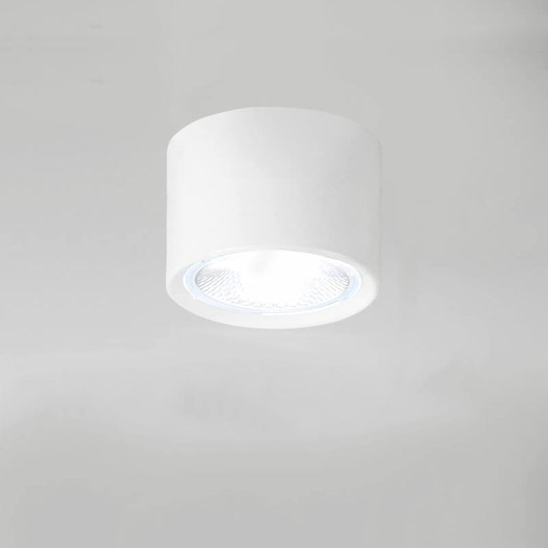 Adjustable Cylinder Spotlight – Surface Mount LED Ceiling Light – Directional Accent Fixture for Living Room, Hallway & Kitchen – Modern