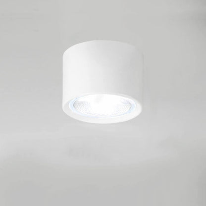 Adjustable Cylinder Spotlight – Surface Mount LED Ceiling Light – Directional Accent Fixture for Living Room, Hallway & Kitchen – Modern