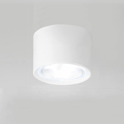 Adjustable Cylinder Spotlight – Surface Mount LED Ceiling Light – Directional Accent Fixture for Living Room, Hallway & Kitchen – Modern