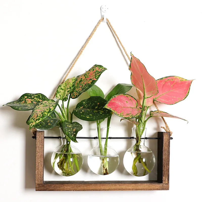 Wooden Desktop Glass Tube Rooting Station for Cuttings & Houseplants — Single, Double & Triple Holder Designs