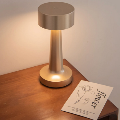 Cordless Rechargeable Accent Lamp with Touch Control & Adjustable Brightness - Iron & Acrylic LED Desk Light for Bedroom, Living Room, Offic