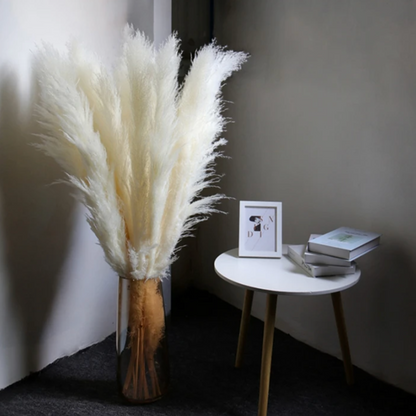 Tiges d'herbe de la pampa naturelle et duveteuse pour vases | Accents floraux séchés de 40 à 76 cm pour décoration d'étagère de salon, centres de table d'événements, style bohème