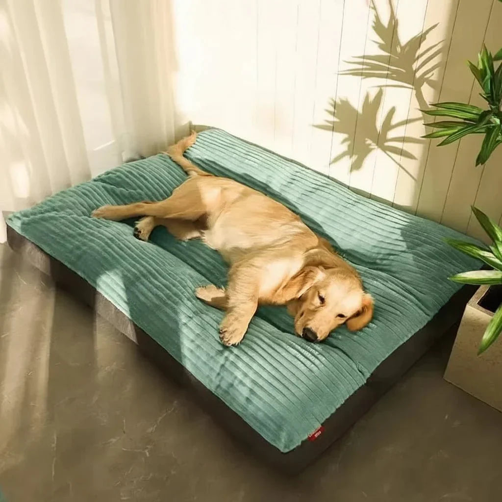 Coussin de soutien en mousse à mémoire de forme pour chiens et chiots - Tapis de couchage intérieur en peluche avec soutien orthopédique - Literie douce et lavable pour chiens âgés