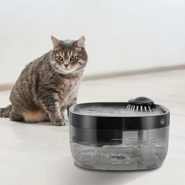 PETFLOW – Wireless Pet Water Fountain for Cats & Dogs