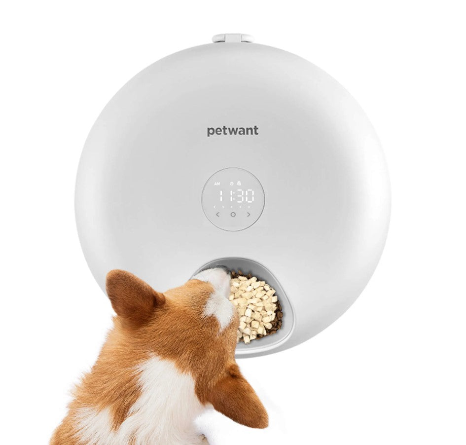 Smart Automatic Feeder | Automatic Pet Feeder with Six Meal Compartments | Convenient Feeding Solution for Cats and Dogs