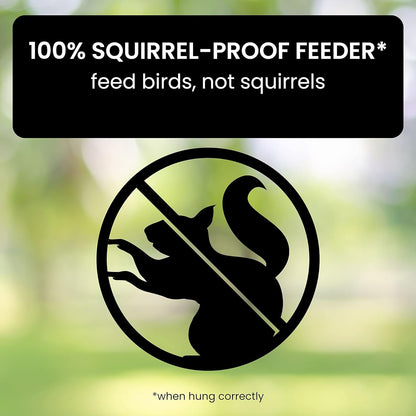 Outdoor Hanging Bird Feeder with Weight-Activated Critter Protection for Backyard Songbirds | Multi-Port Metal Seed Dispenser for Cardinals