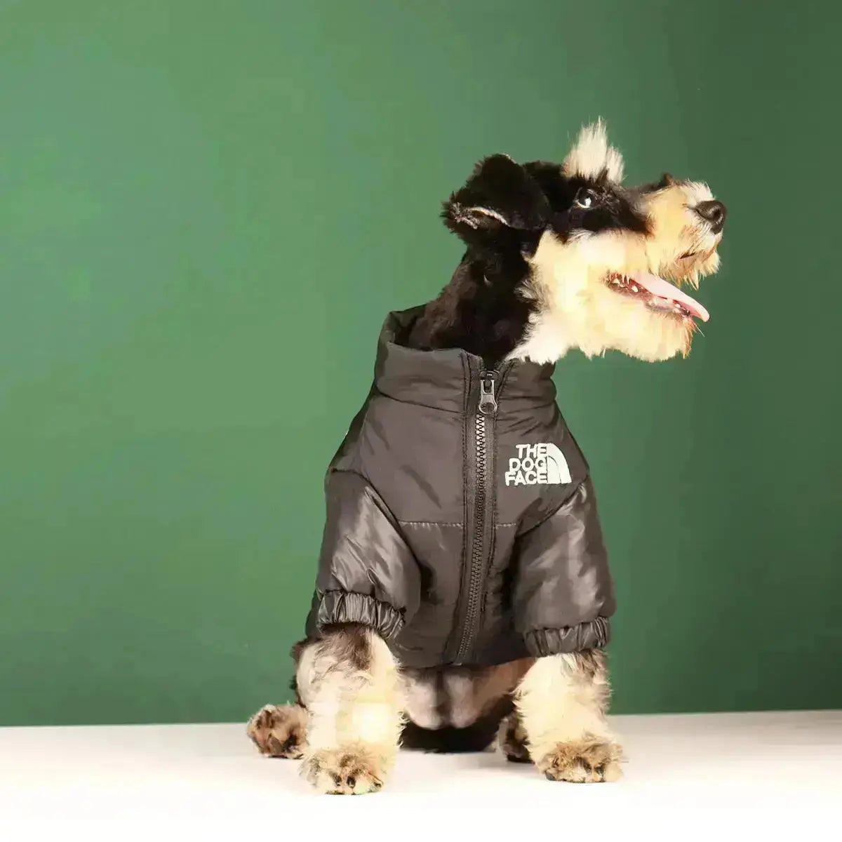 Insulated Windproof Dog Winter Coat with Soft Fleece Lining for Cold Weather Protection, Outdoor Walks & Active Play