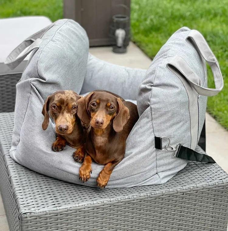 Travelpup | Dog Seat Bed with Adjustable Safety Straps | Comfortable and Secure Car Rides