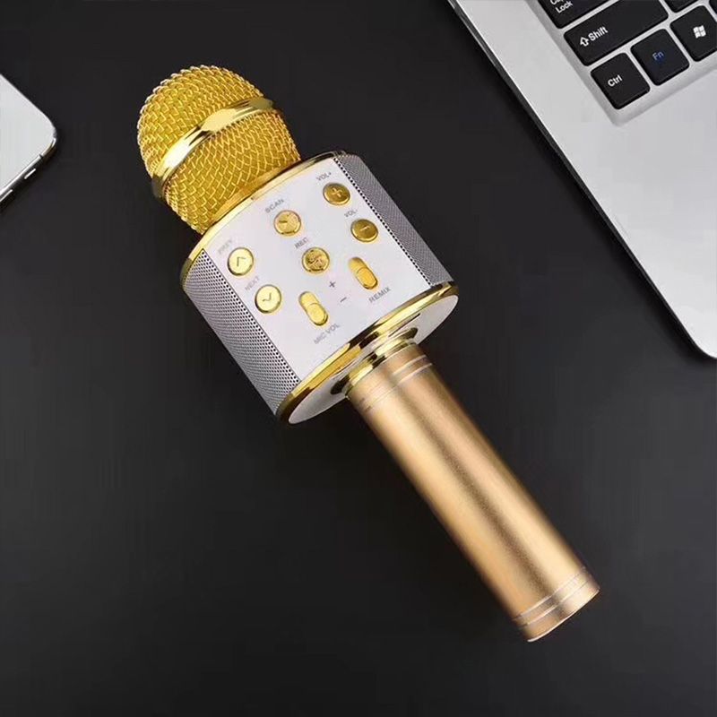 Ultimate Wireless Karaoke Microphone with Multi-Functionality for On-the-Go Singing