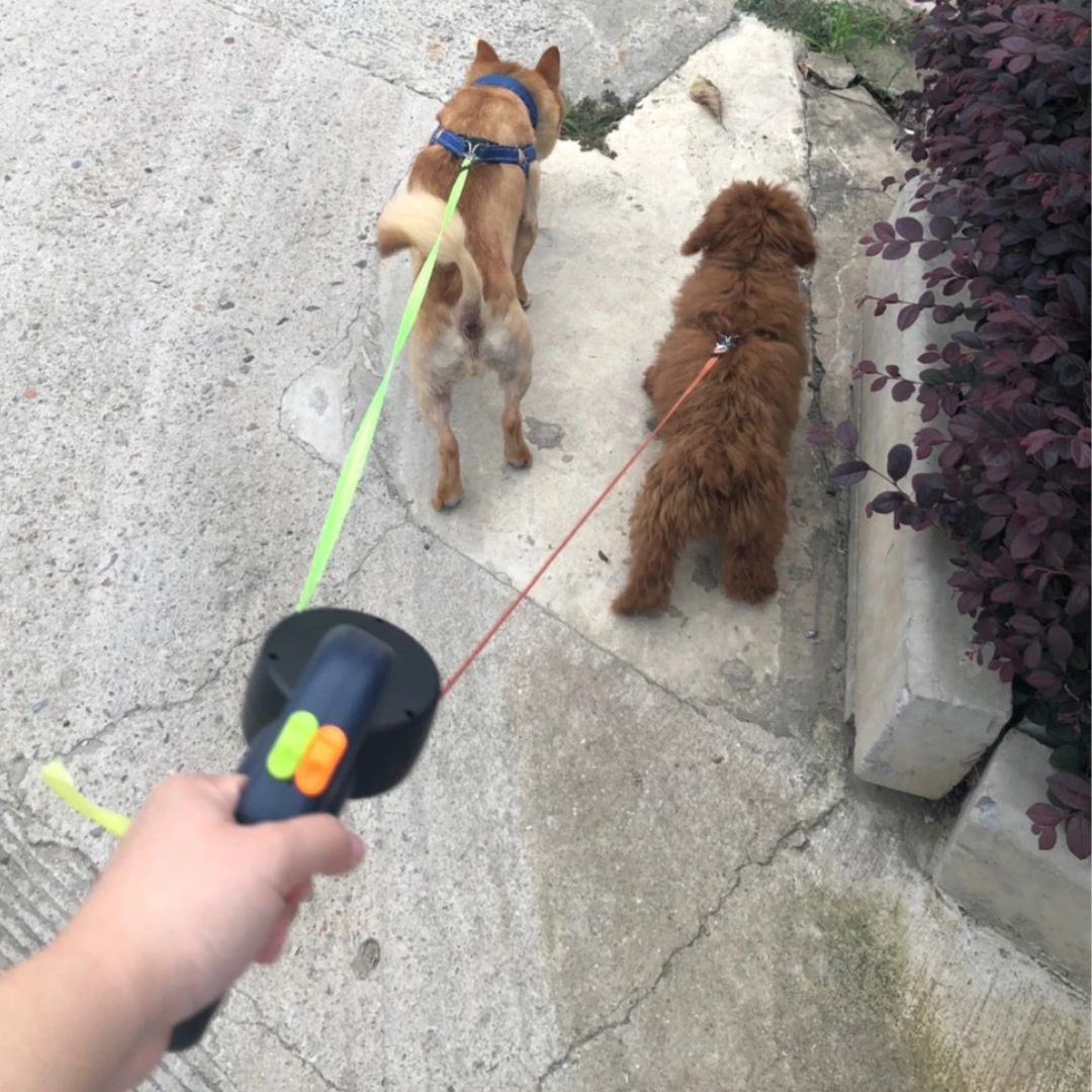 Dual Retractable Dog Leash with LED Flashlight & Waste Bag Holder for Two Dogs Up to 26 lb Each