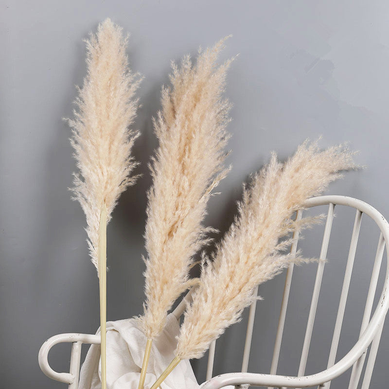 Faux Pampas Grass Stems Natural Beige 10-Pack Boho Decor for Living Room Bedroom Wedding Events Fluffy Reed Bundle Centerpiece