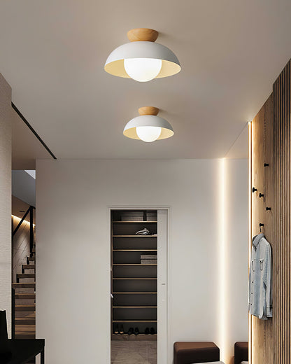 Glass Shade Ceiling Light Fixture 12 Inch Metal Overhead Lamp E26 Base for Kitchen Island Dining Room Modern Suspended Lighting White Black