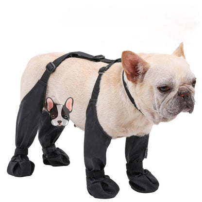Wearclo | Leggings pour chiens avec protection des pattes tout temps | Conception durable pour un confort ultime