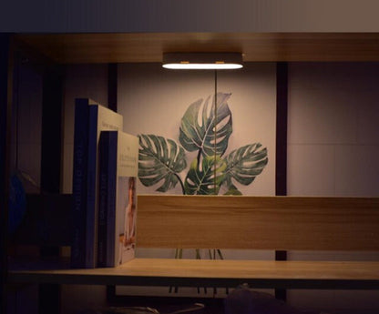 Wireless Motion Sensor Wall Light with USB Rechargeable Battery | Convenient Lighting Solution for Safety and Comfort