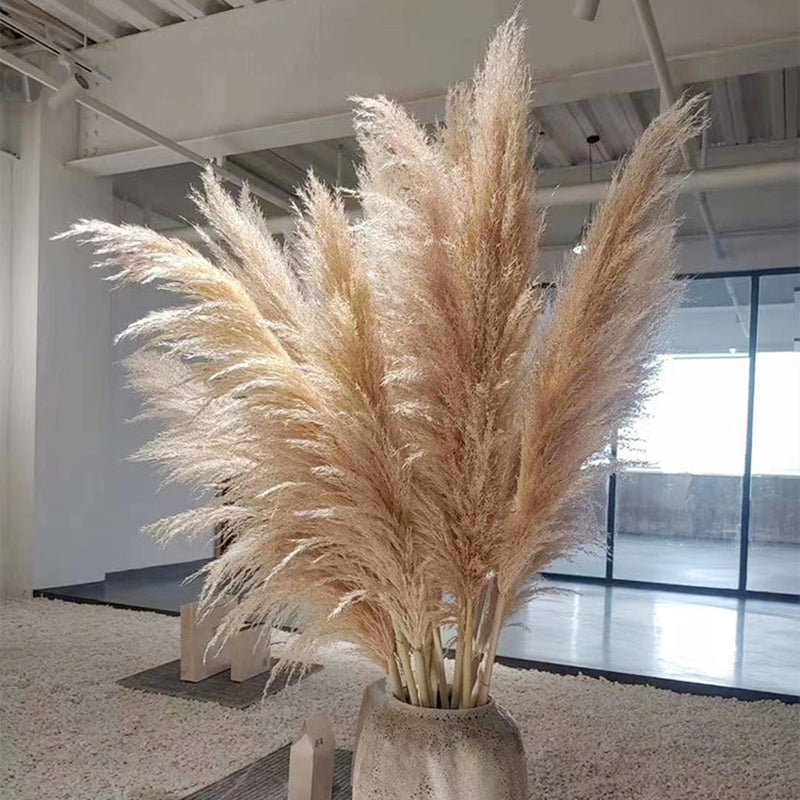 Tiges d'herbe de la pampa naturelle et duveteuse pour vases | Accents floraux séchés de 40 à 76 cm pour décoration d'étagère de salon, centres de table d'événements, style bohème