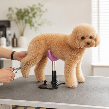 Ortekor Adjustable Dog Grooming Support Stand for Small Dogs – Helps Reduce Sitting During Trimming, Brushing & Drying