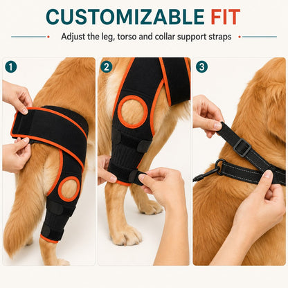 Ortekor Adjustable Dog Knee Brace with Collar Support Strap - Helps Reduce Slipping on Daily Walks