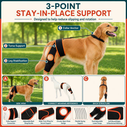 Ortekor Adjustable Dog Knee Brace with Collar Support Strap - Helps Reduce Slipping on Daily Walks