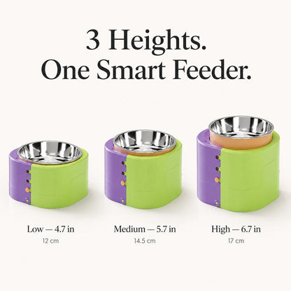 Ortekor 3-Level Adjustable Elevated Slow Feeder Bowl for Cats & Small Dogs - Stainless Steel Mealtime Bowl for Fast Eaters