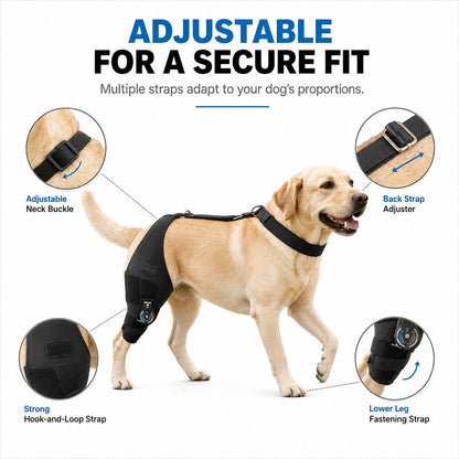 Ortekor Adjustable Hinged Dog Knee Brace for Daily Walks - Rear Leg Support for Unsteady Steps
