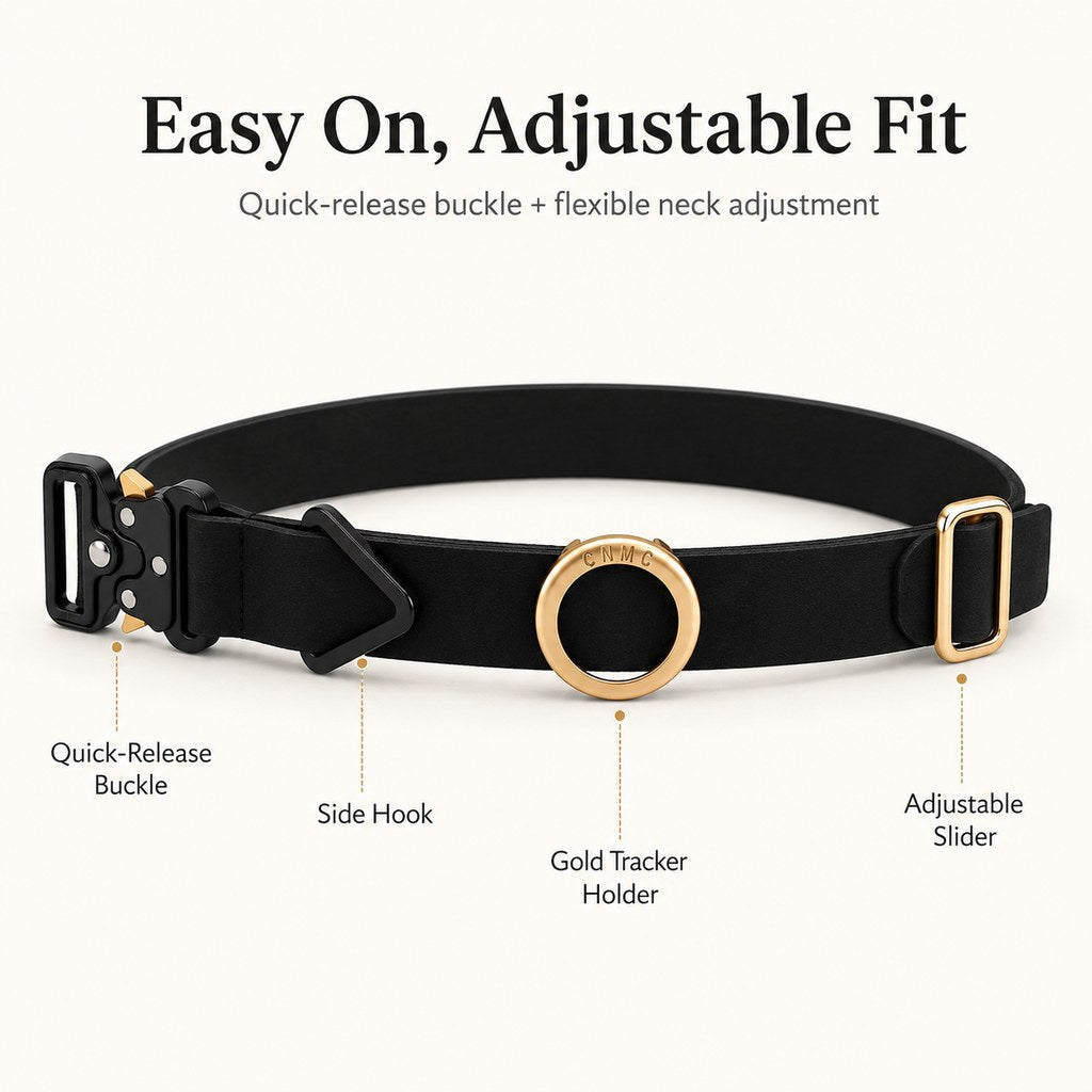 Ortekor AirTag-Compatible Pet Collar Holder for Cats & Small Dogs - No-Dangle Tracker Protection for Home, Walks & Everyday Pet Safety