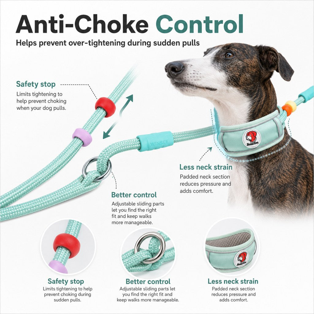 Ortekor Anti-Choke Dog Leash for Everyday Walks - Padded Neck Protection & Better Control for Pullers