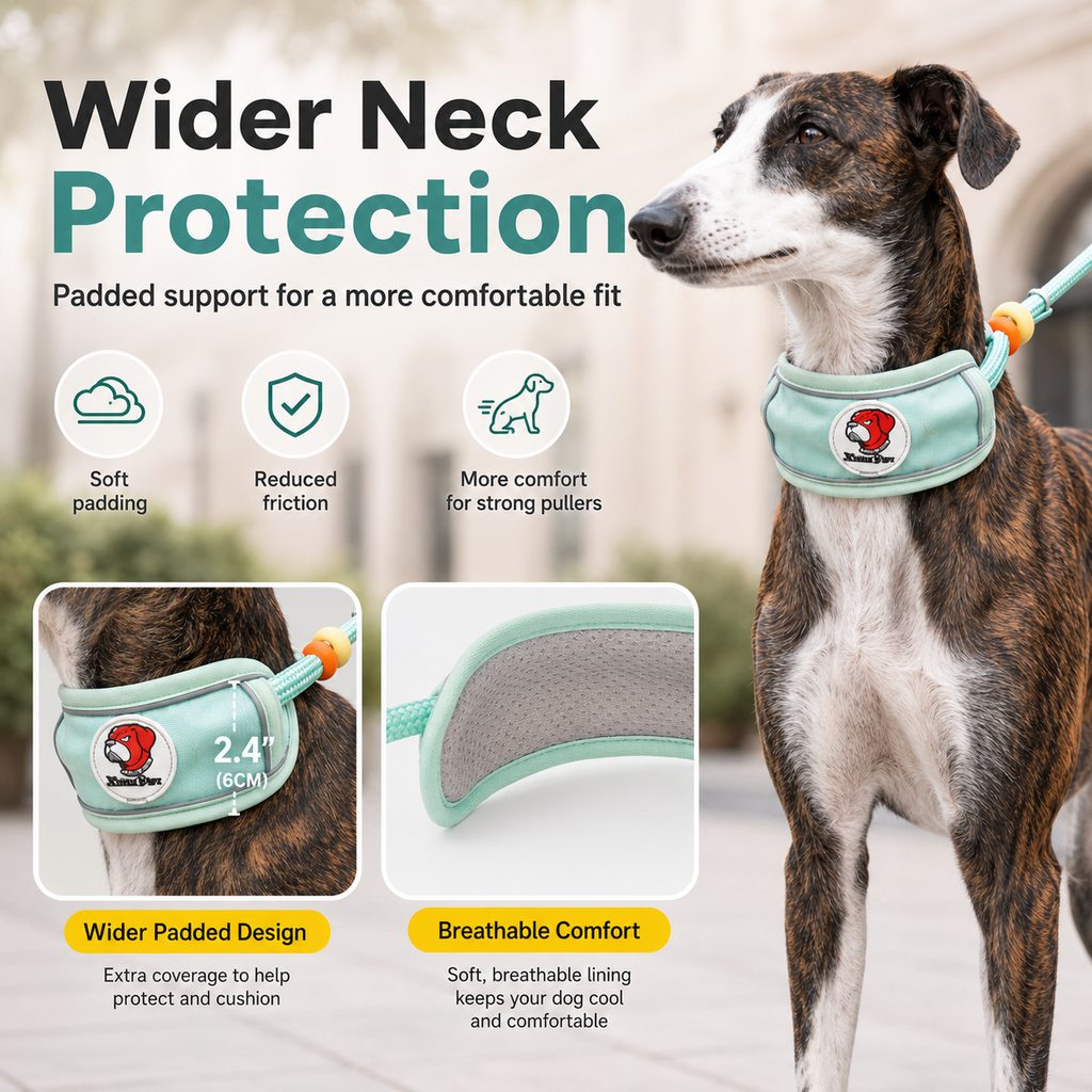 Ortekor Anti-Choke Dog Leash for Everyday Walks - Padded Neck Protection & Better Control for Pullers