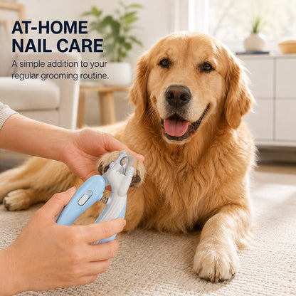 Ortekor Pet Nail Clippers for At-Home Grooming – LED Guard & Mini Styles for Cleaner, Easier Dog & Cat Nail Trims