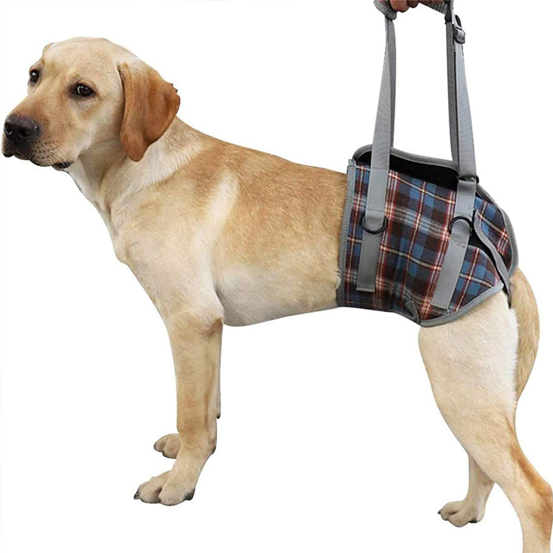 Rear Leg Support Harness for Dogs – Adjustable Lift Sling for Hip Stability, Arthritis & Mobility Assistance