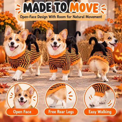 Ortekor Black Cat Rider Halloween Pet Costume - Funny 3D Dog & Cat Outfit for Trick-or-Treating, Parties & Photos with Easy-Movement Design