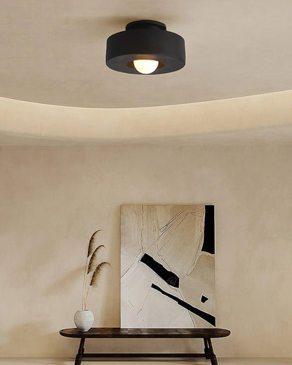 12-Inch Flush Mount LED Ceiling Light Fixture Resin Disc Contemporary Round Panel for Bedroom Hallway Living Room 3000K Warm Glow