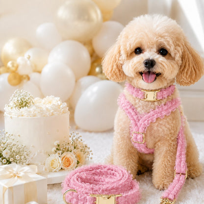 Ortekor Boutique Lace Dog Harness, Collar & Leash Set for Birthday Photos & Daily Walks - 3-Piece Ruffle Walking Set