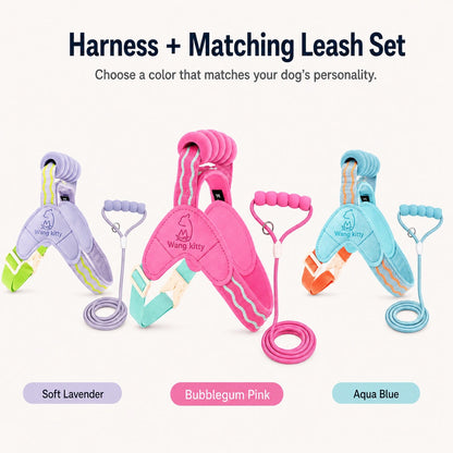 Ortekor Breathable Padded Dog Harness & Leash Set for Daily Walks - Easy-Control Vest for Small & Medium Dogs