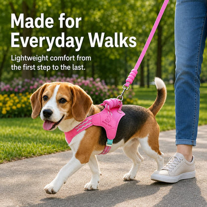 Ortekor Breathable Padded Dog Harness & Leash Set for Daily Walks - Easy-Control Vest for Small & Medium Dogs