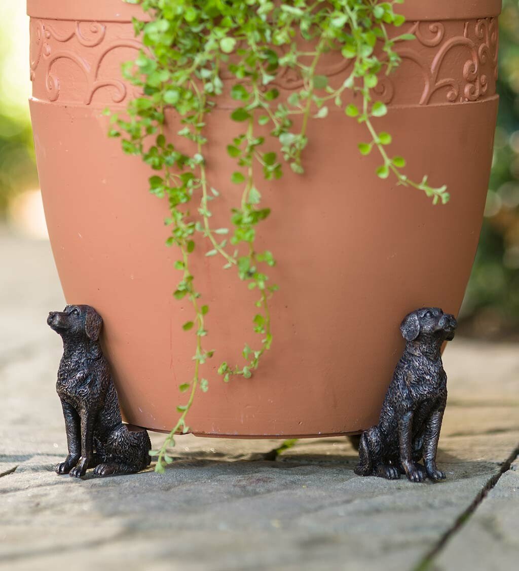 Pieds de pot Labrador | Pieds de pot décoratifs pour un meilleur drainage | Design résistant au gel pour des plantes en bonne santé