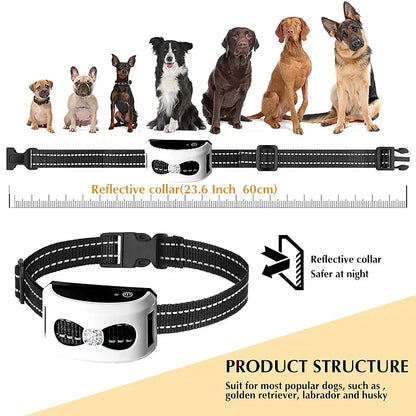 Wireless Dog Fence & Training Collar 2-in-1 System - Rechargeable Pet Containment with Adjustable Boundary up to 984 Feet - Waterproof
