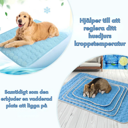Tapis rafraîchissant pour animaux, coussin respirant en fibre thermorégulatrice pour chiens et chats, confort estival, portable, pour l'intérieur et l'extérieur, sans réfrigération
