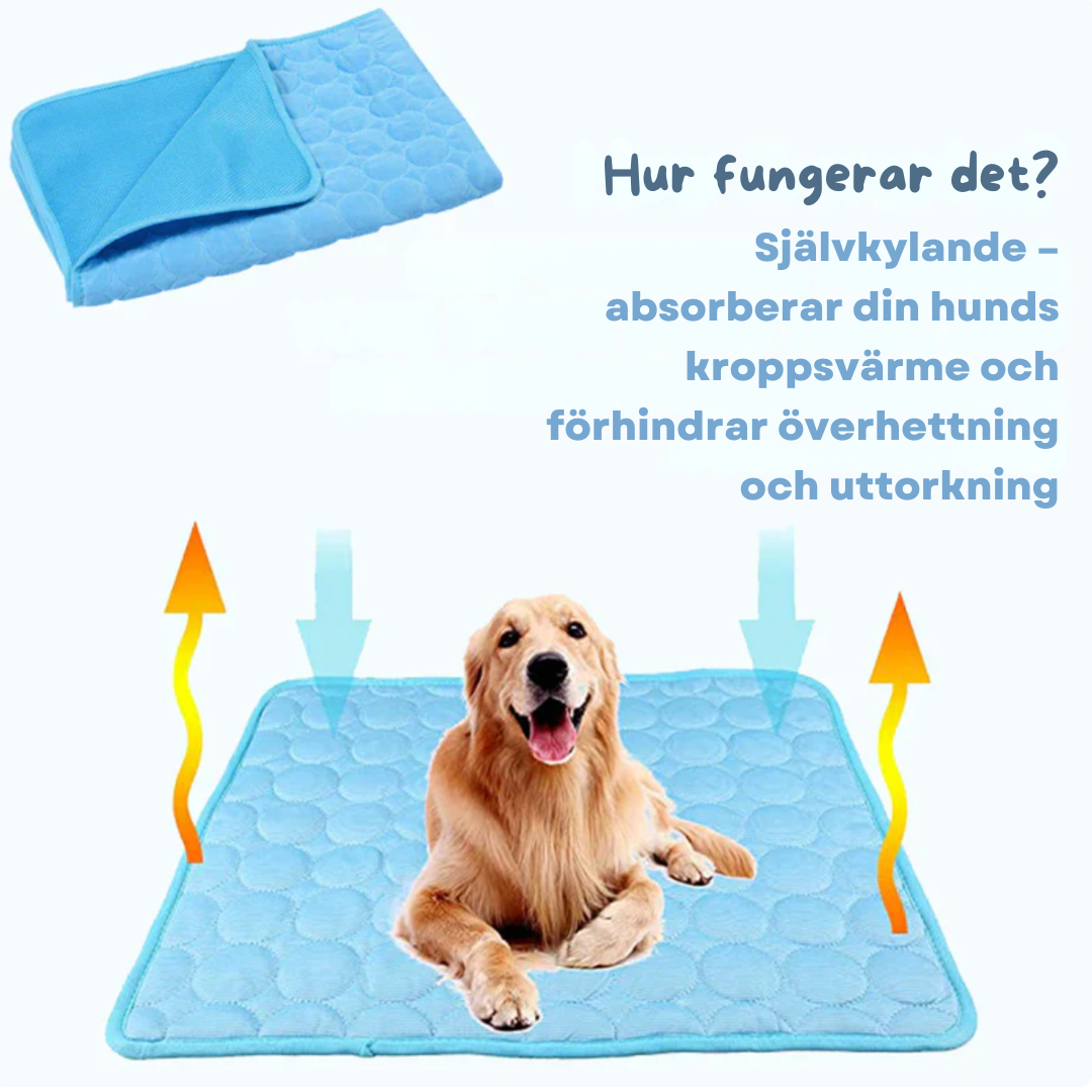 Tapis rafraîchissant pour animaux, coussin respirant en fibre thermorégulatrice pour chiens et chats, confort estival, portable, pour l'intérieur et l'extérieur, sans réfrigération