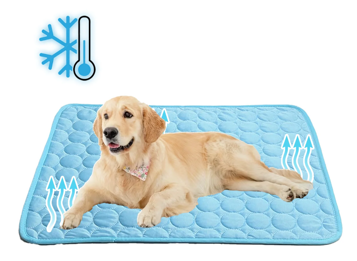 Tapis rafraîchissant pour animaux, coussin respirant en fibre thermorégulatrice pour chiens et chats, confort estival, portable, pour l'intérieur et l'extérieur, sans réfrigération