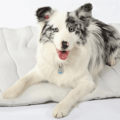 CoolPaws | Dog Cooling Mat with Self-Activating Gel for Instant Relief