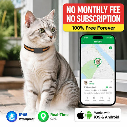 Collar-Mounted GPS Location Monitor for Cats with Geofence Alerts, Historical Route Logging & Multi-Technology Positioning for Indoor &