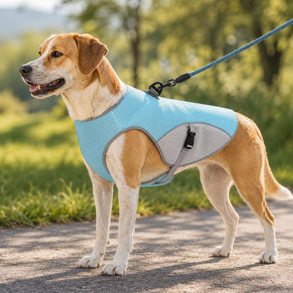 Ortekor Dog Cooling Vest for Summer Walks - Wet-to-Cool Lightweight Jacket with Leash Ring for Hot Weather Outdoor Comfort
