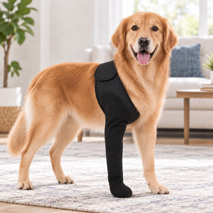 Ortekor Dog Front Leg Support Brace for At-Home Recovery & Anti-Lick Protection - Full-Length Sleeve with Paw Cover