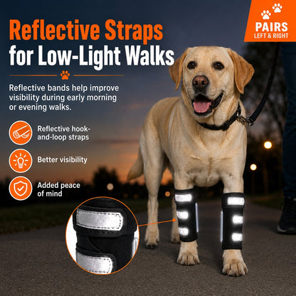 Ortekor Dog Front Leg Brace for Weak or Injured Legs - Adjustable Support for Stability, Recovery & Daily Walking Comfort