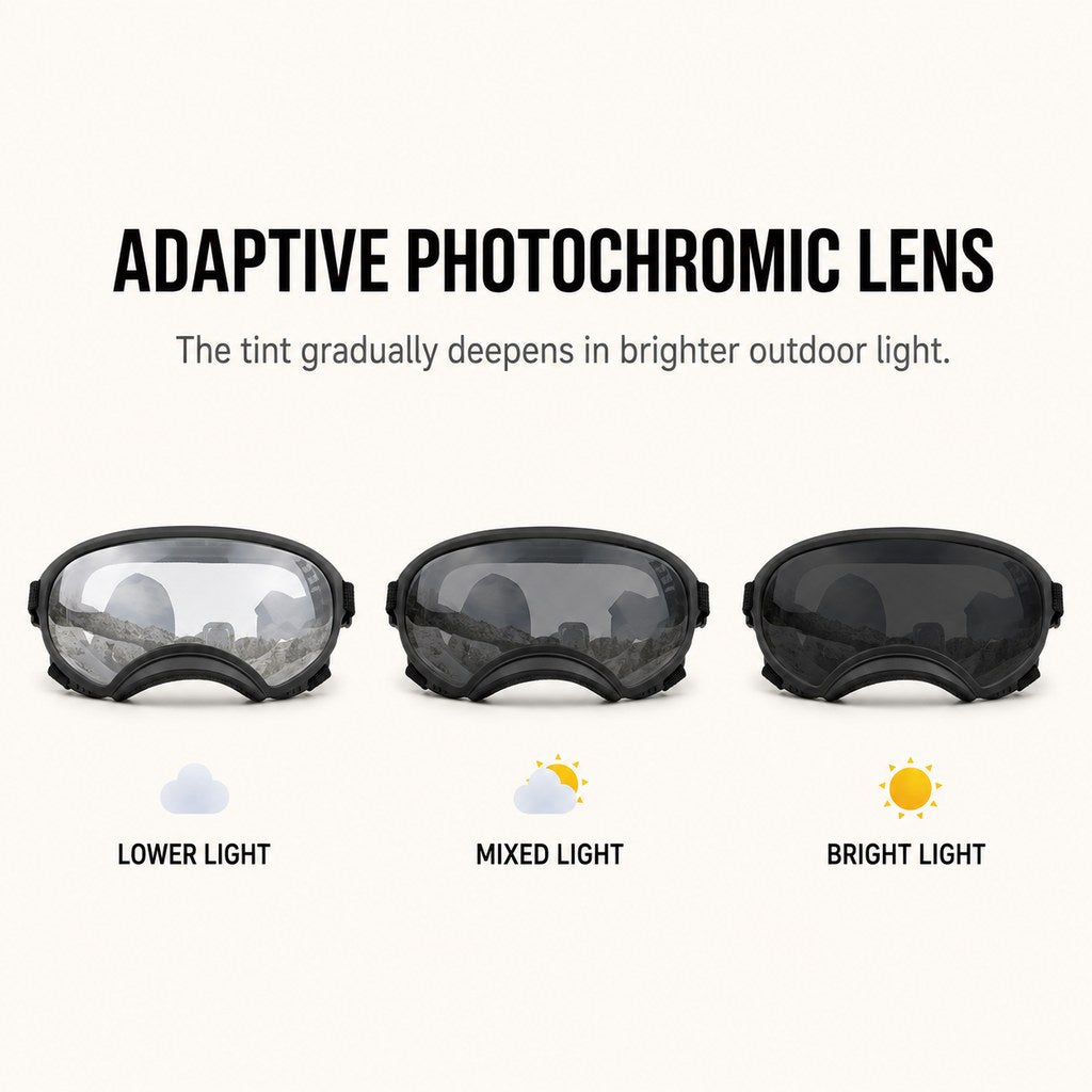 Ortekor Photochromic Dog Goggles for Hiking & Car Rides - Adjustable Wind, Dust & Debris Coverage
