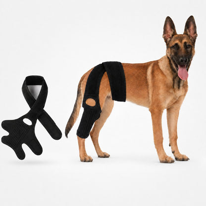 Ortekor Adjustable Dog Joint Support Brace for Daily Walks & Senior Leg Stability