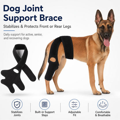 Ortekor Adjustable Dog Joint Support Brace for Daily Walks & Senior Leg Stability