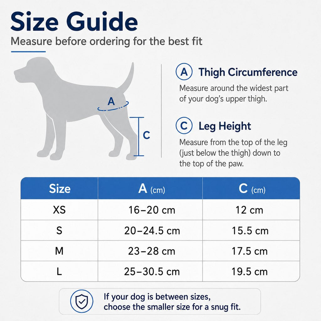Ortekor Adjustable Dog Joint Support Brace for Daily Walks & Senior Leg Stability