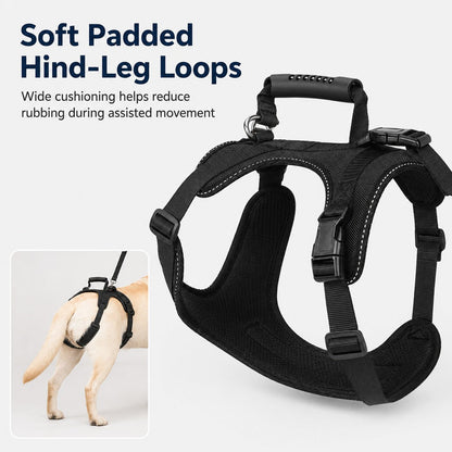 Ortekor Full-Body Dog Lift Harness for Large Dogs - Front & Rear Mobility Support for Stairs, Car Ramps and Weak Hind Legs