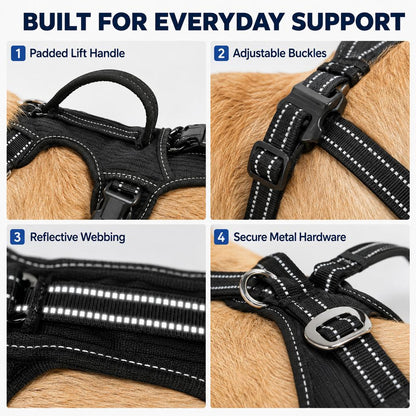 Ortekor Full Body Dog Lift Harness for Stairs & Car - Mobility Support for Weak Hind Legs
